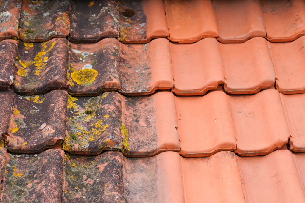 Professional Roof Cleaning Service